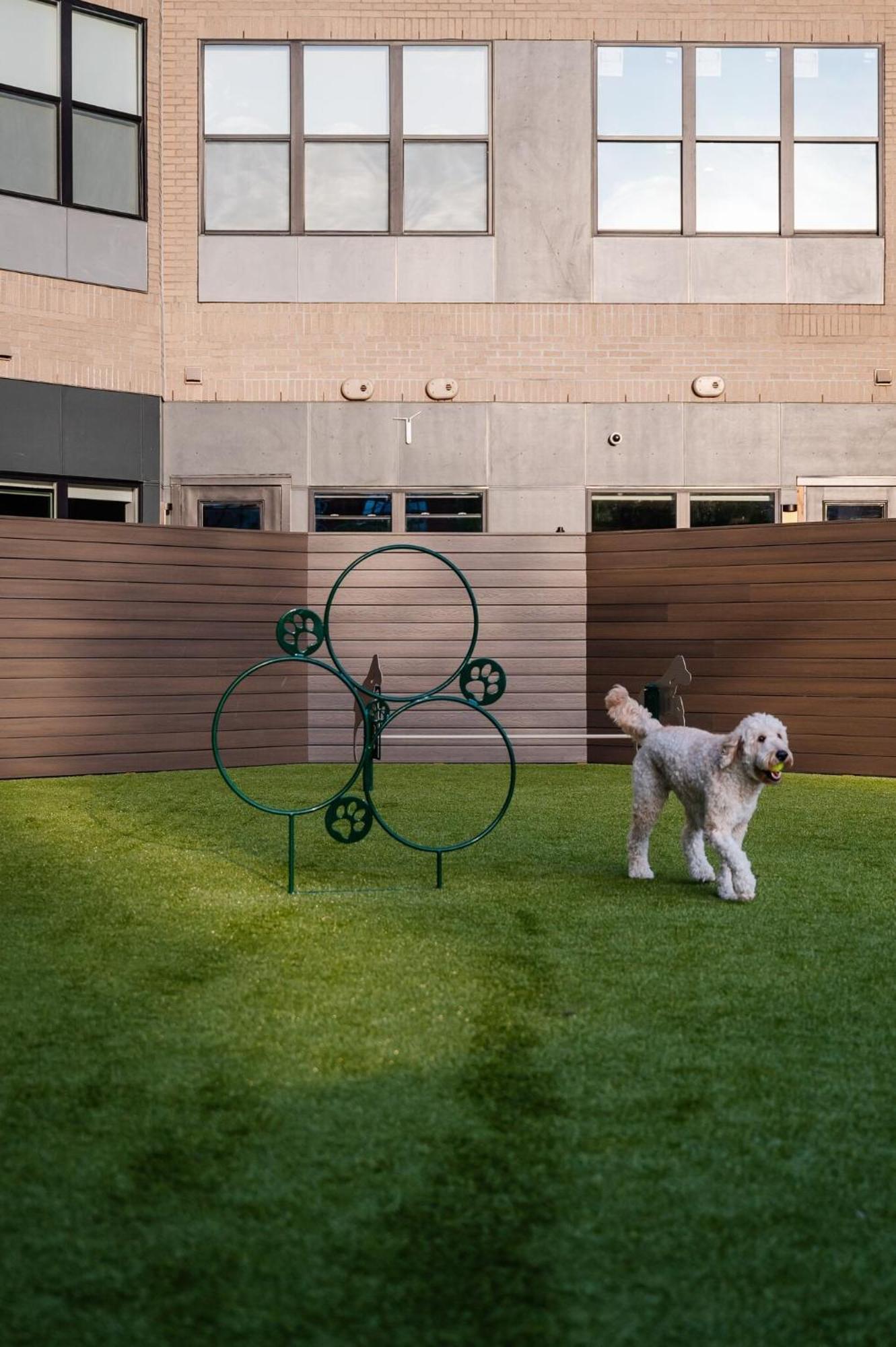 Luxury Apartments By Hyatus At Pierpont New Haven Exterior foto